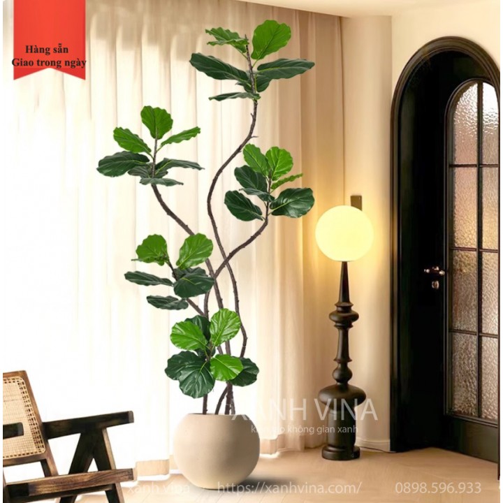 Cây cảnh giả Ficus trang trí không gian sống động